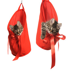 Similar image 902785