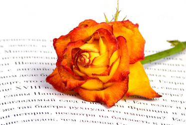 Similar image 902814