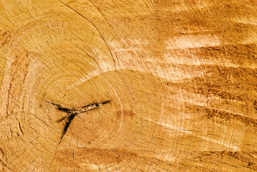 Similar image 902931