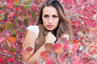 Similar image 903025