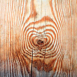 Similar image 903139