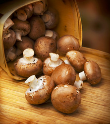 Similar image 903198