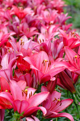 Similar image 903319