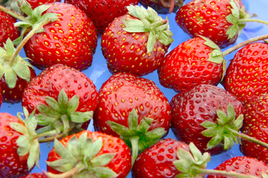 Similar image 903459