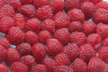 Similar image 903460