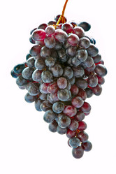 Similar image 903462