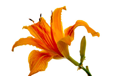 Similar image 903473