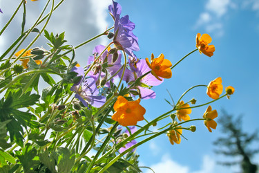 Similar image 903475