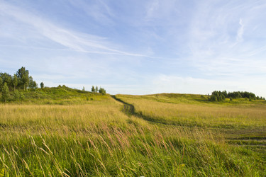 Similar image 903574