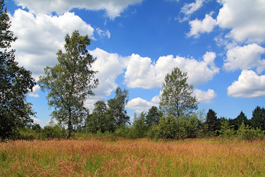 Similar image 903602