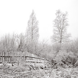 Similar image 903851