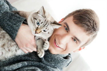 Similar image 903960