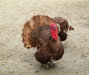 Similar image 904003