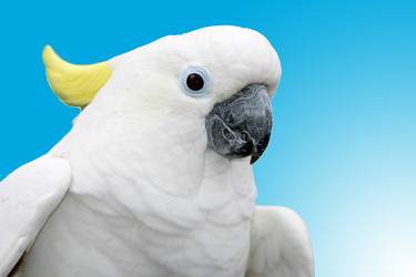 Similar image 904060