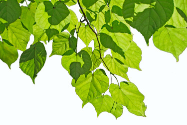 Similar image 904061