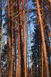 Similar image 904077