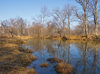 Similar image 904116