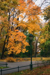 Similar image 904123