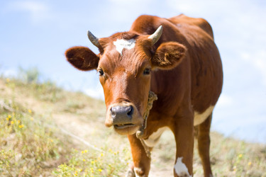 Similar image 904181