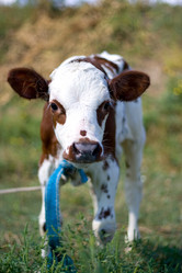 Similar image 904185