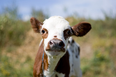 Similar image 904186