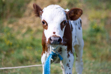 Similar image 904188