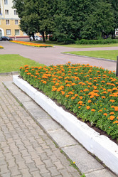 Similar image 904338