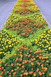 Similar image 904349