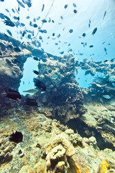 Similar image 904376