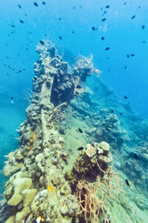 Similar image 904377