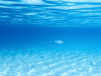 Similar image 904397