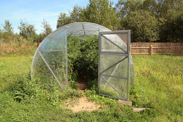 Similar image 904410