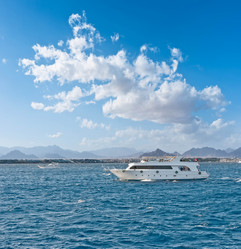 Similar image 904463