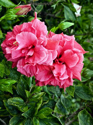 Similar image 904469