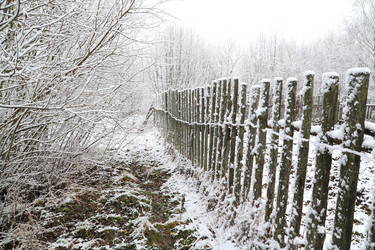 Similar image 904500