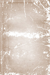 Similar image 904566