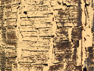 Similar image 904579