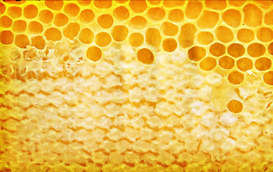 Similar image 904588