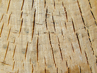 Similar image 904593