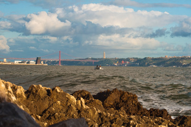 Similar image 904658