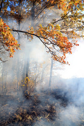 Similar image 904692