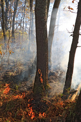 Similar image 904693