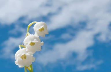 Similar image 904714