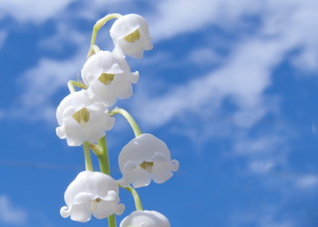 Similar image 904717