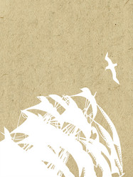 Similar image 904779