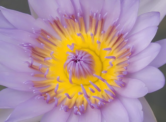 Similar image 904781