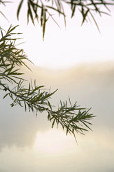 Similar image 904785