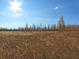 Similar image 904850