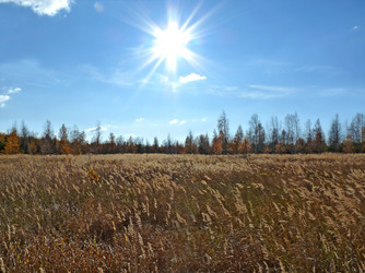 Similar image 904851