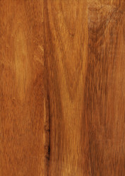 Similar image 904875